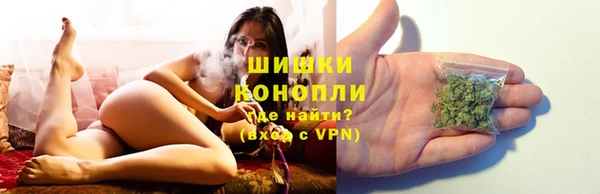 стафф Аркадак