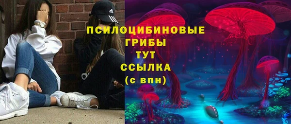 метадон Арсеньев